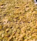 কাঁচা পটেটো চিপস  ক্রাকার্স