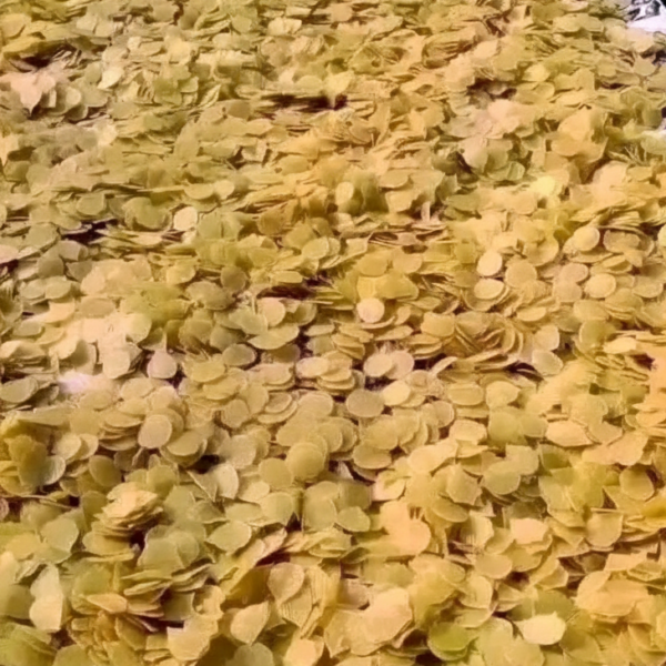 কাঁচা পটেটো চিপস  ক্রাকার্স